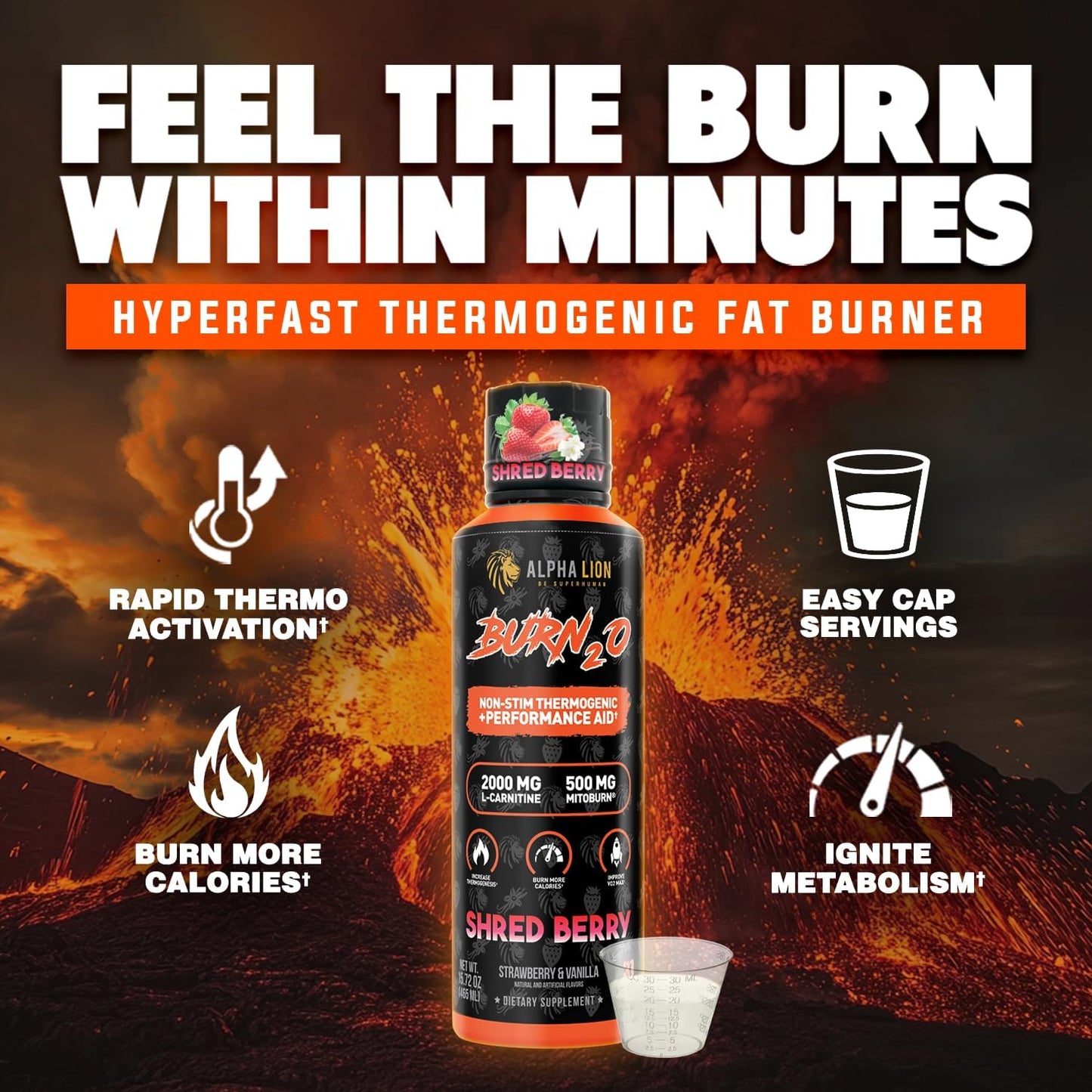 Alpha Lion Burn2O L-Carnitine Liquid Fat Burner - Shredberry