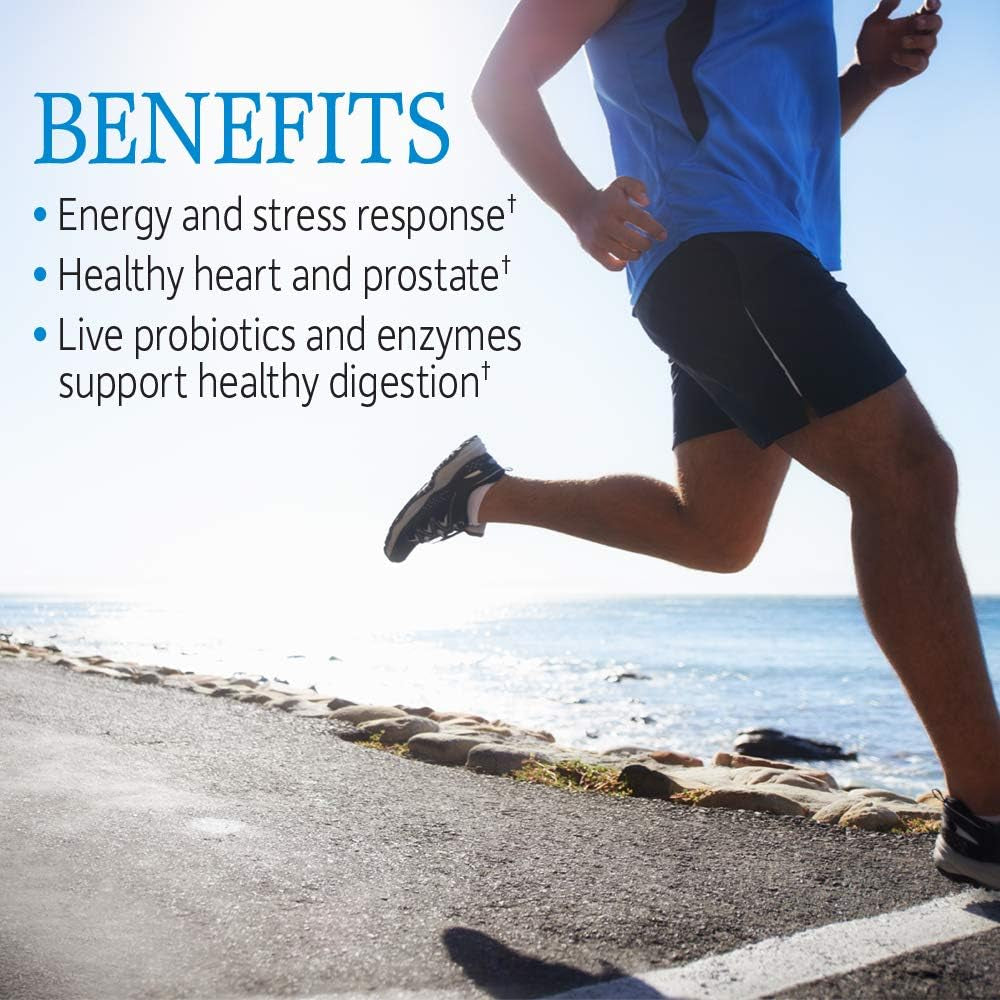 Garden of Life Vitamin Code Raw One Multivitamin for Men