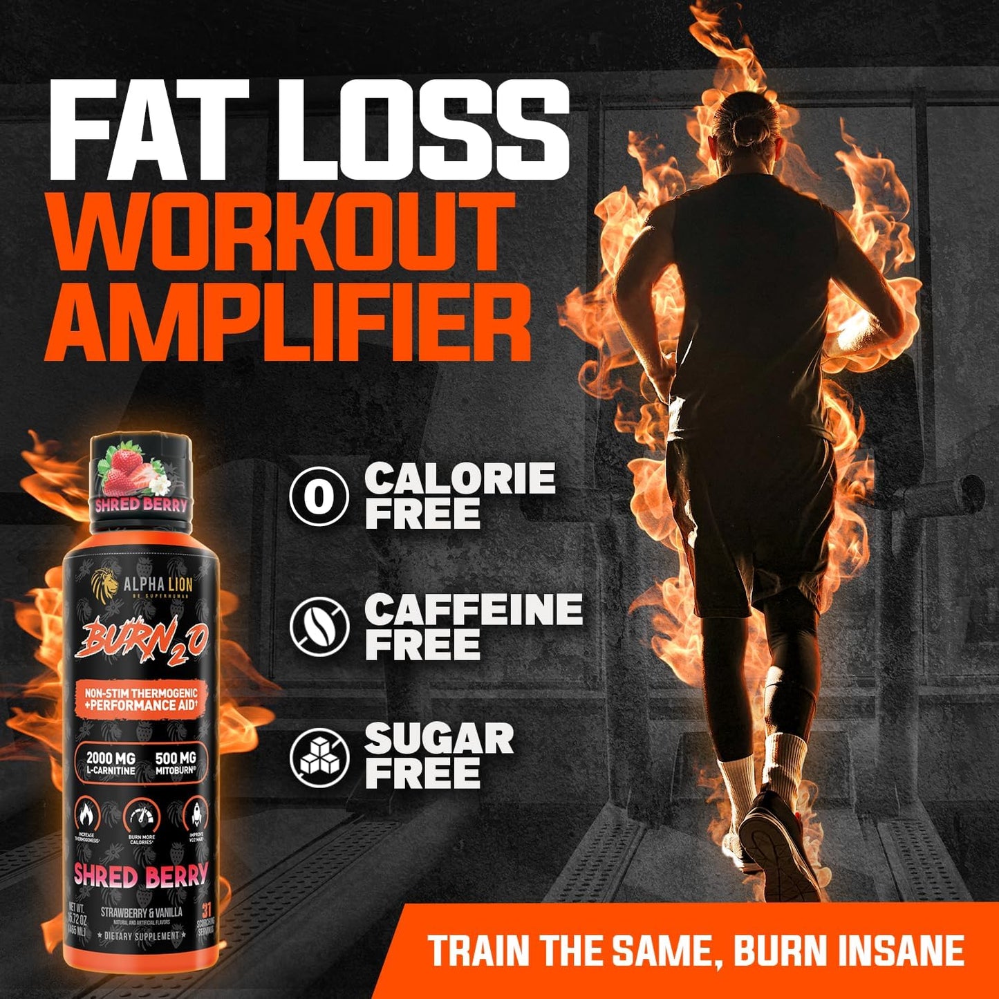 Alpha Lion Burn2O L-Carnitine Liquid Fat Burner - Shredberry