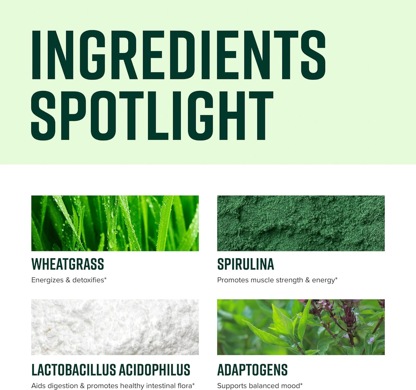 Vibrant Health Green Vibrance Vegan Superfood Powder