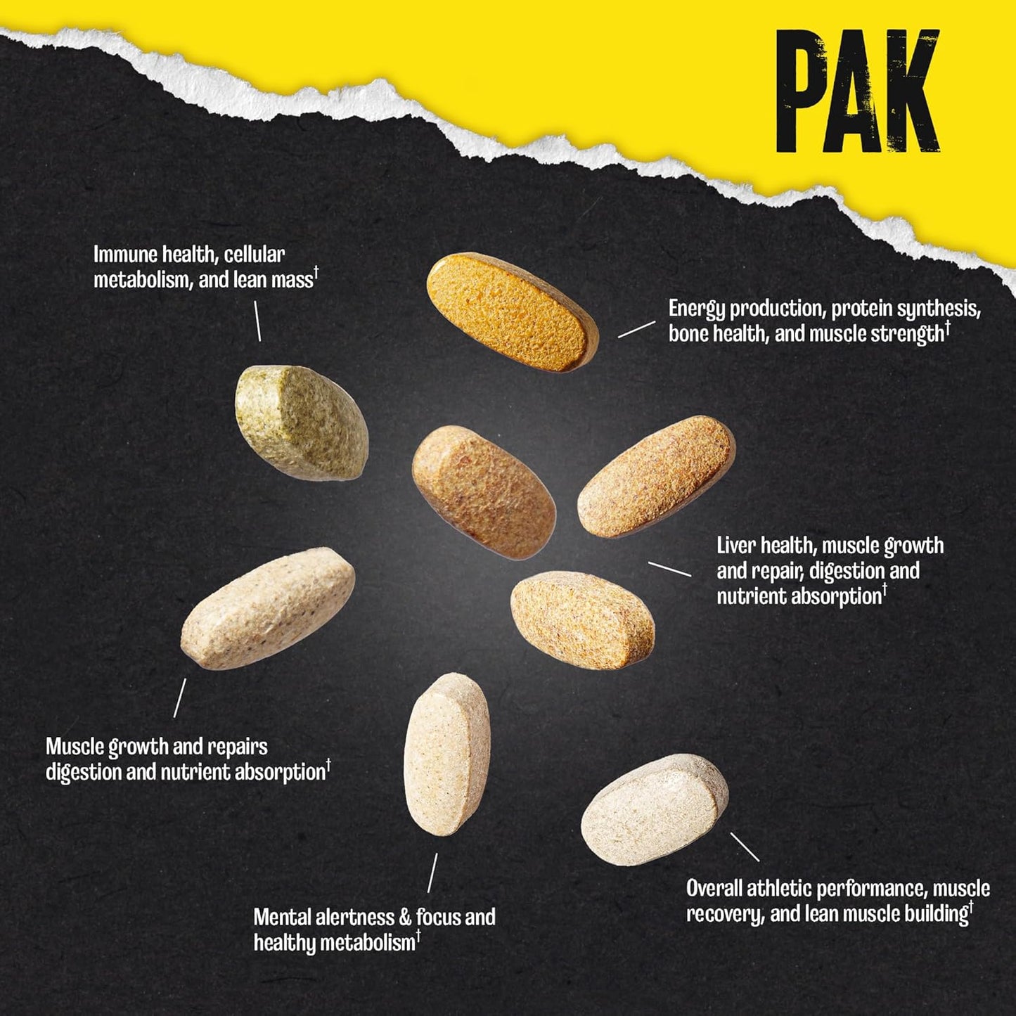 Animal Pak Multivitamin for Men & Women
