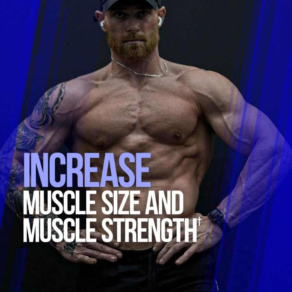 Gains Candy, Supplement Pills for Muscle Growth, Size, & Strength, Nitric Oxide Booster, Muscle Builder, Use Daily to Upgrade Energy & Workout Performance, 60 Capsules (Ripfactor®)