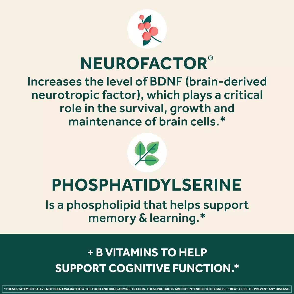 Neuriva Plus Brain Performance Capsules