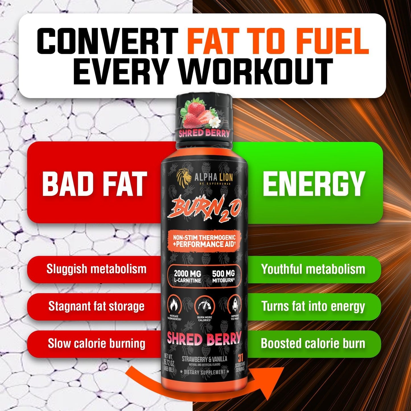 Alpha Lion Burn2O L-Carnitine Liquid Fat Burner - Shredberry