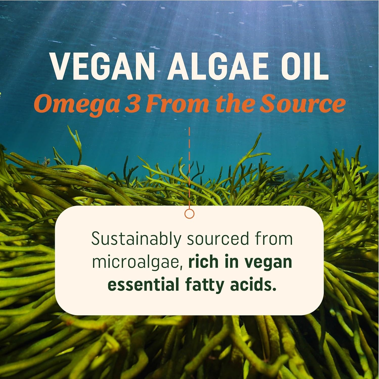 MAV Nutrition Vegan Omega 3 Algae Oil Capsules