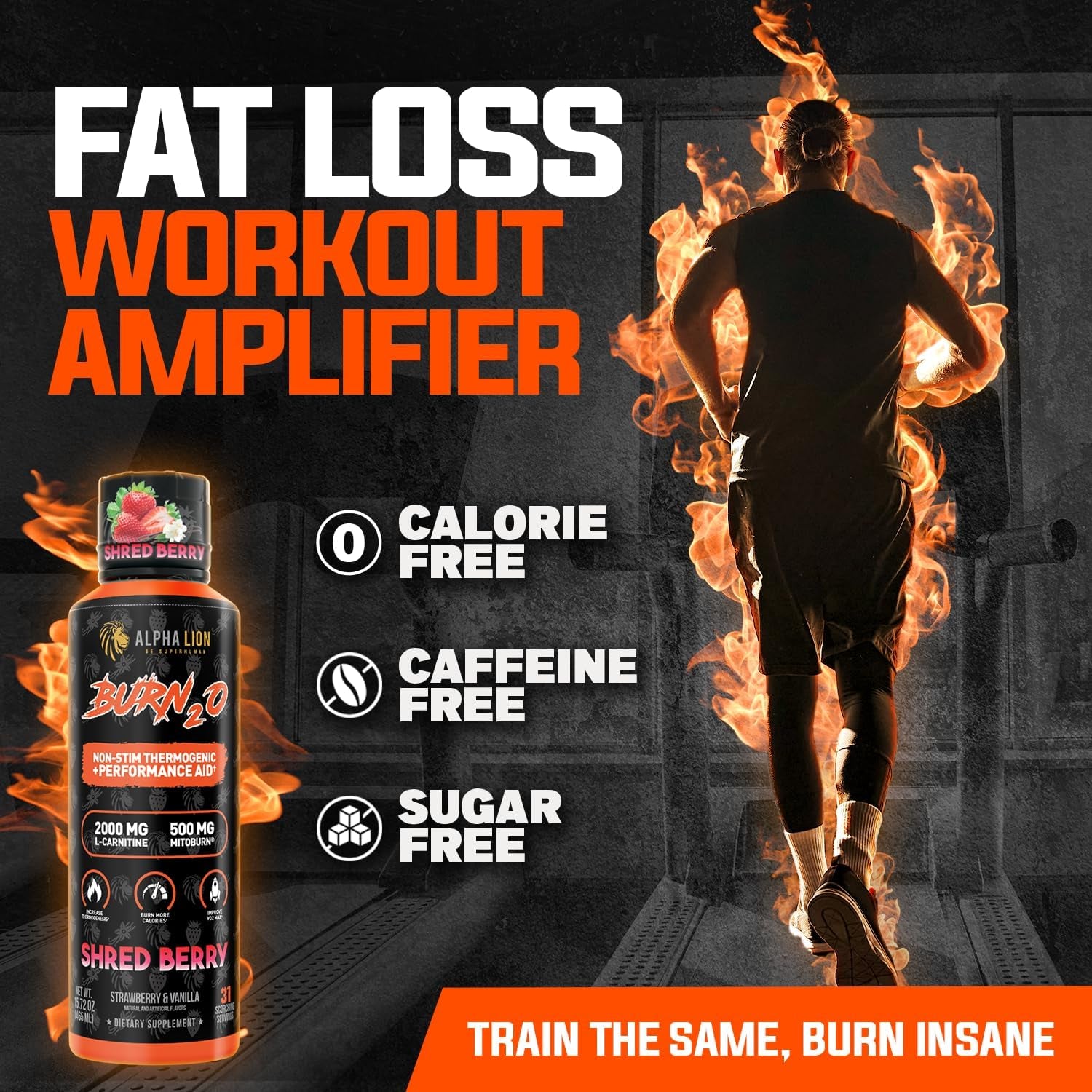 Alpha Lion Burn2O L-Carnitine Liquid Fat Burner - Shredberry