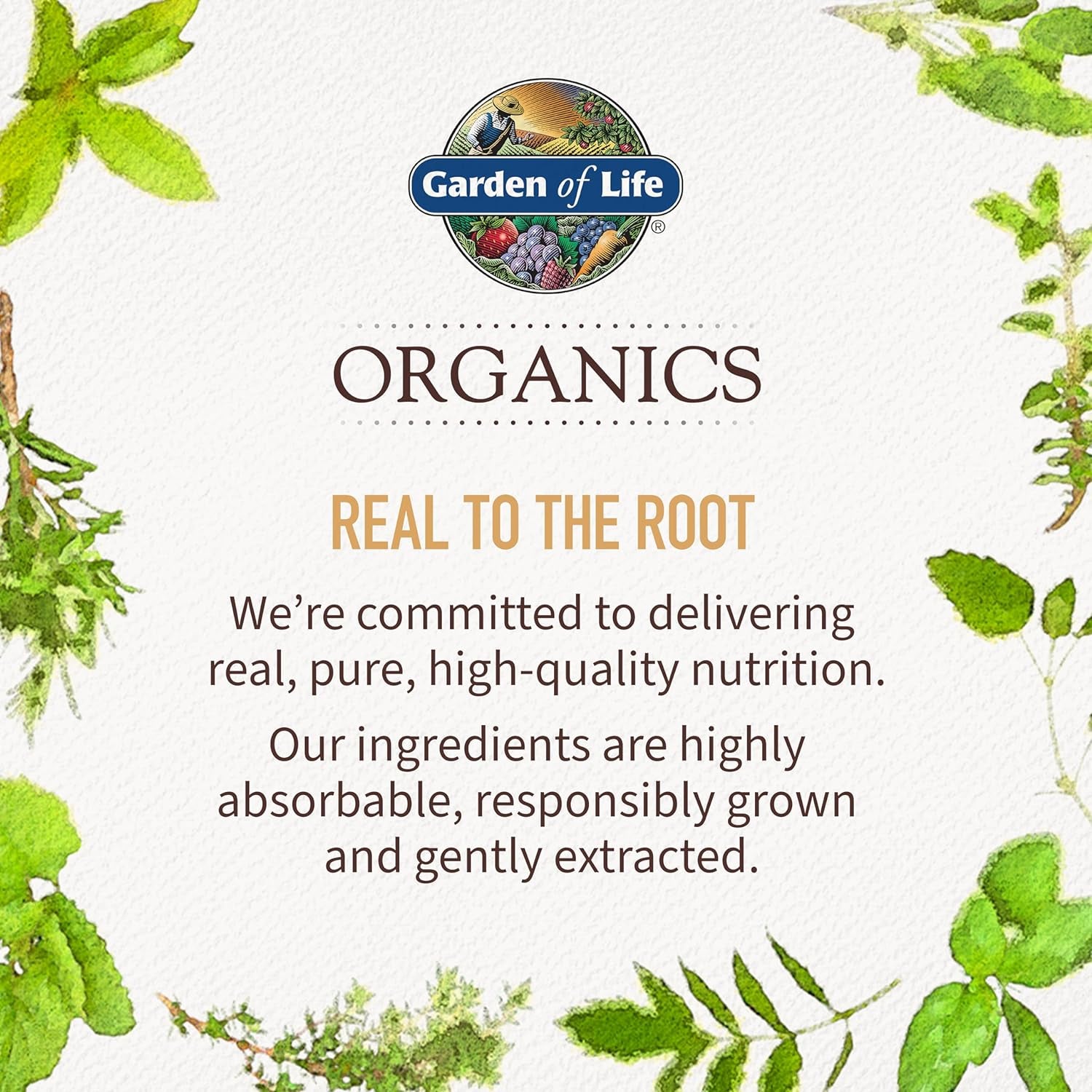 Garden of Life Organics Multivitamin for Women