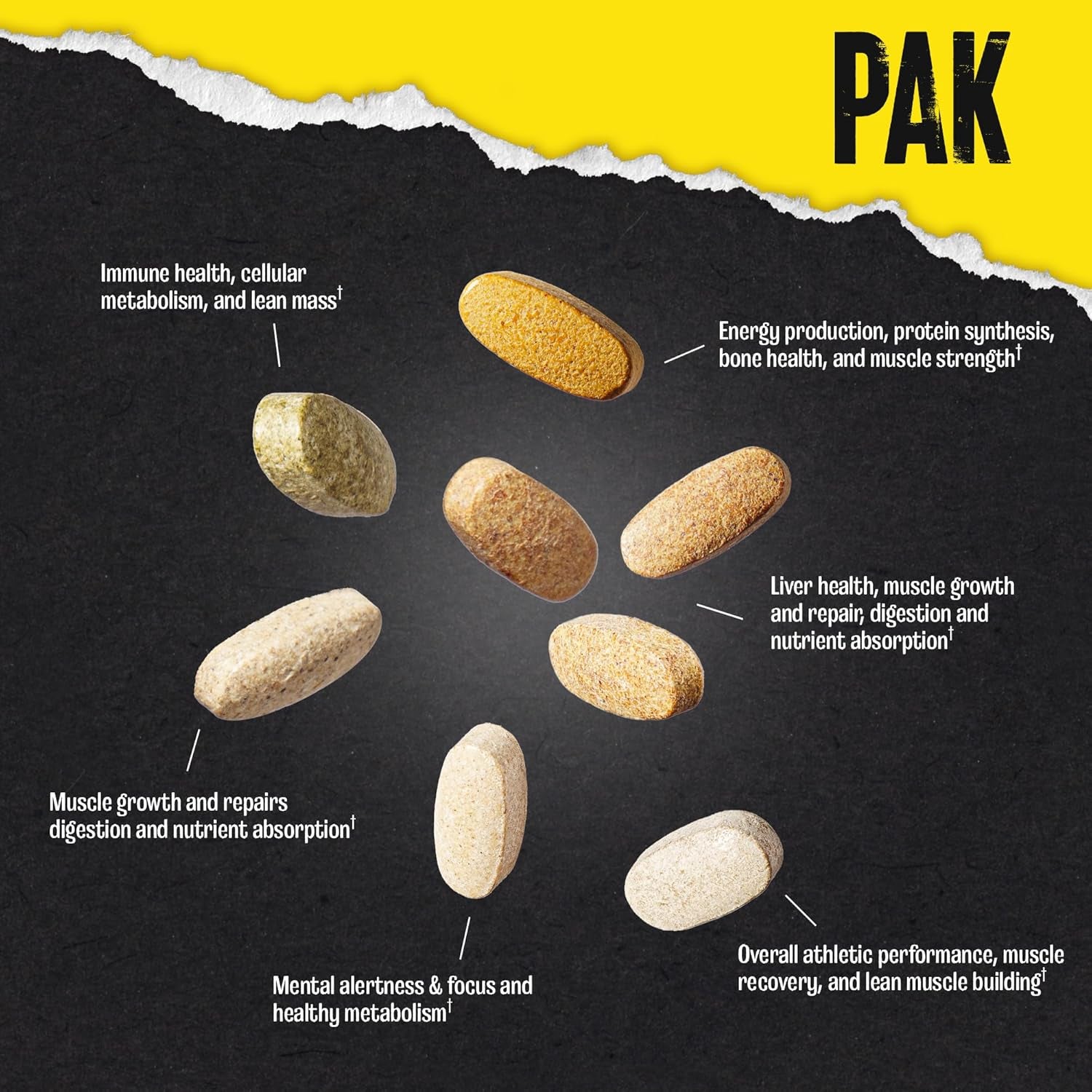 Animal Pak Multivitamin for Men & Women